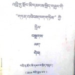 Title page of the temporary regulation passed by Diru County government Photo: TCHRD